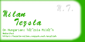 milan tezsla business card